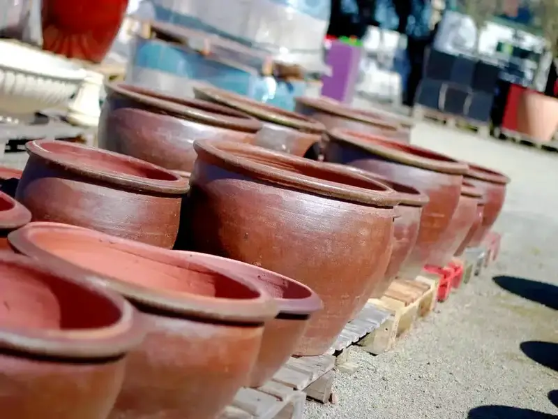 Pots en terre cuite